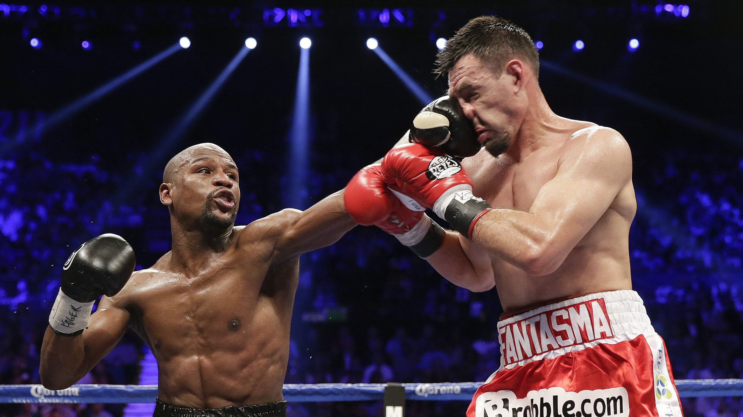 国王球迷应援创意登上球场主屏幕，国王球队在哪个城市